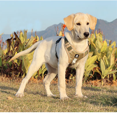 Dog leash explosion-proof big dog chest harness reflective large dog dog leash vest pet leash
