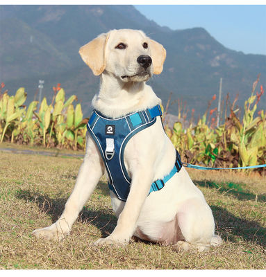 Dog leash explosion-proof big dog chest harness reflective large dog dog leash vest pet leash