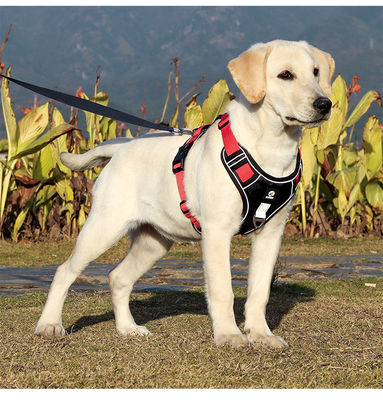 Dog leash explosion-proof big dog chest harness reflective large dog dog leash vest pet leash