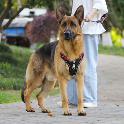 Dog leash explosion-proof big dog chest harness reflective large dog dog leash vest pet leash