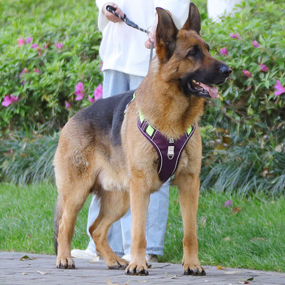 Dog leash explosion-proof big dog chest harness reflective large dog dog leash vest pet leash