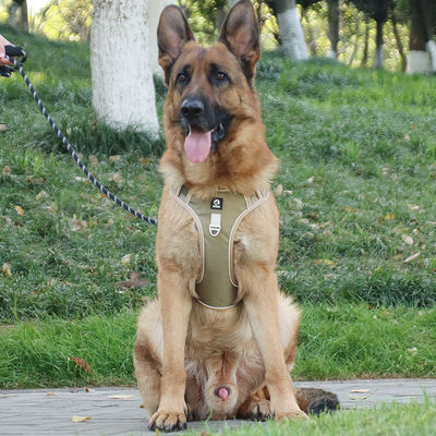 Dog leash explosion-proof big dog chest harness reflective large dog dog leash vest pet leash