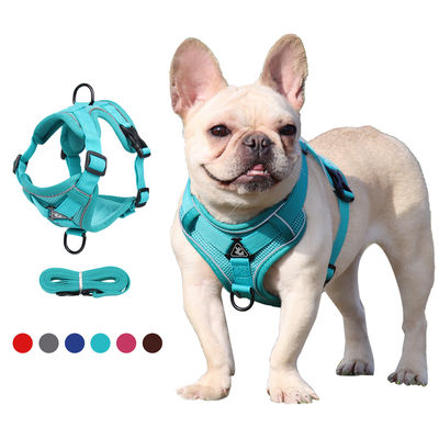 Leash for small dogs and cats with reflective breathable vest pet harness