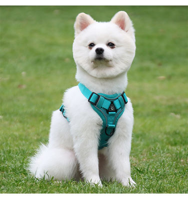 Leash for small dogs and cats with reflective breathable vest pet harness