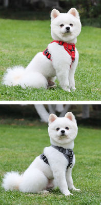 Leash for small dogs and cats with reflective breathable vest pet harness