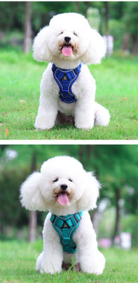 Leash for small dogs and cats with reflective breathable vest pet harness