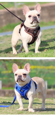 Leash for small dogs and cats with reflective breathable vest pet harness
