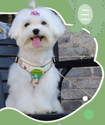 New dog leash small and medium-sized dog chest harness cartoon dinosaur dog walking rope reflective pet chest harness