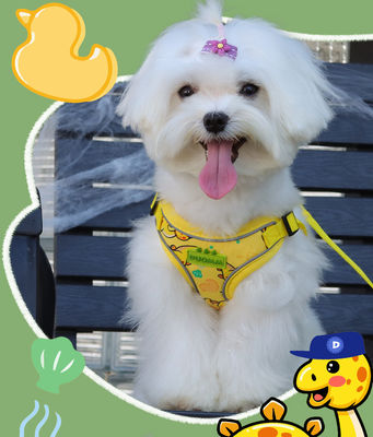 New dog leash small and medium-sized dog chest harness cartoon dinosaur dog walking rope reflective pet chest harness