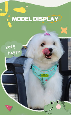 New dog leash small and medium-sized dog chest harness cartoon dinosaur dog walking rope reflective pet chest harness