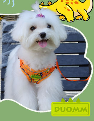 New dog leash small and medium-sized dog chest harness cartoon dinosaur dog walking rope reflective pet chest harness