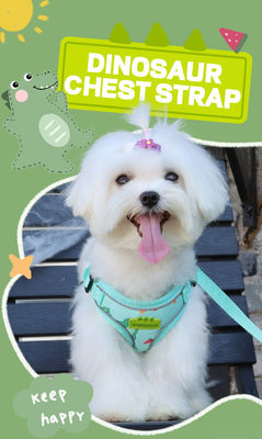 New dog leash small and medium-sized dog chest harness cartoon dinosaur dog walking rope reflective pet chest harness