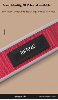 Anti-breakaway dog ​​collar Reflective anti-lost dog collar Adjustable medium and large dog pet collar