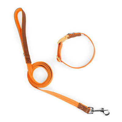 Small and medium-sized dog collar traction set anti-breakaway pet collar dog traction rope