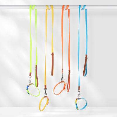 Small and medium-sized dog collar traction set anti-breakaway pet collar dog traction rope