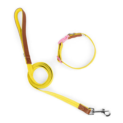 Small and medium-sized dog collar traction set anti-breakaway pet collar dog traction rope