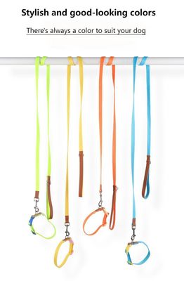 Small and medium-sized dog collar traction set anti-breakaway pet collar dog traction rope