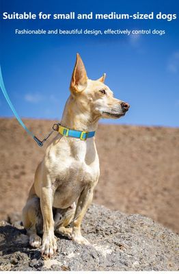 Small and medium-sized dog collar traction set anti-breakaway pet collar dog traction rope